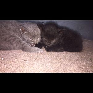 Meet your Posher, Claire